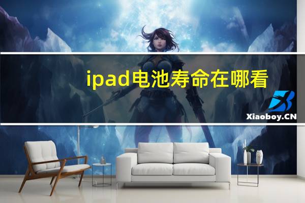 ipad电池寿命在哪看