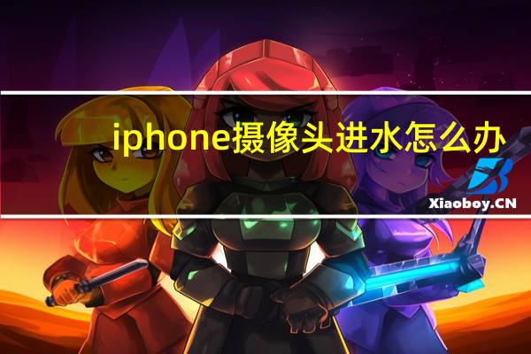 iphone摄像头进水怎么办