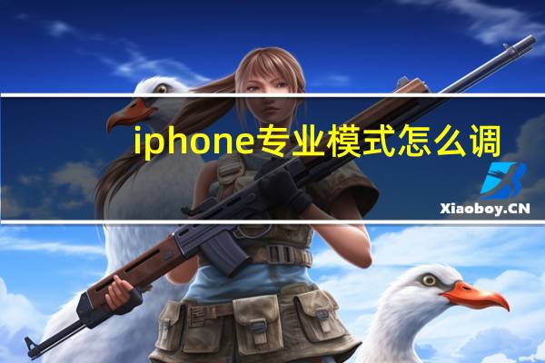 iphone专业模式怎么调