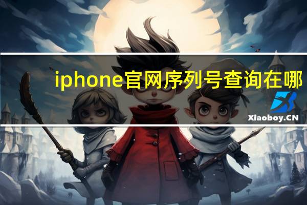 iphone官网序列号查询在哪(iphone官网序列号查询)