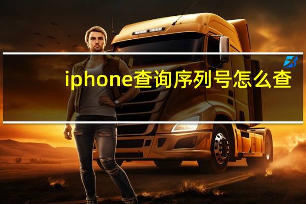 iphone查询序列号怎么查（iphone查询序列号）