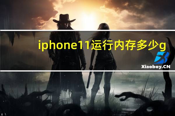 iphone11运行内存多少g