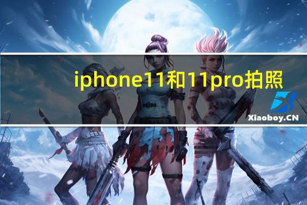 iphone11和11pro拍照（教你如何在苹果手机11和iPhone11Pro上连续拍照）