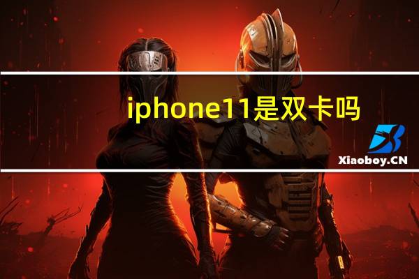 iphone11 是双卡吗