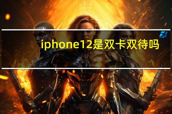 iphone12是双卡双待吗（IPHONE13是双卡双待吗）