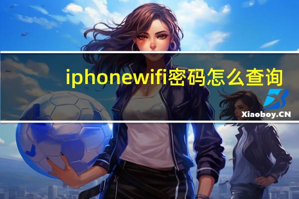 iphone wifi密码怎么查询（iphone wifi）