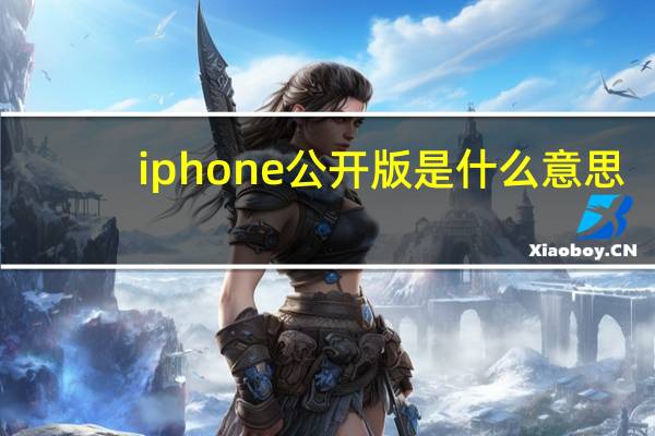 iphone公开版是什么意思