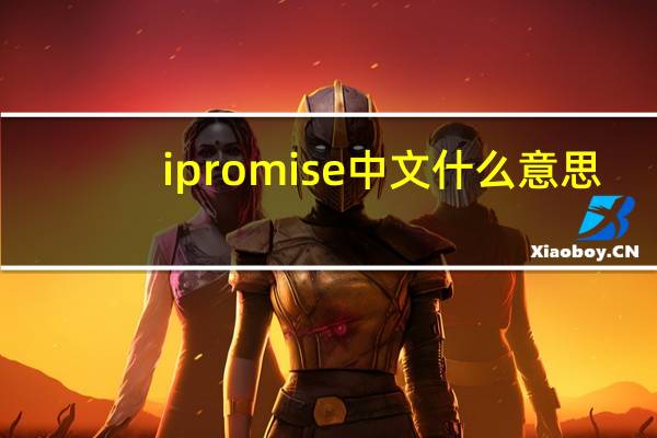 ipromise中文什么意思