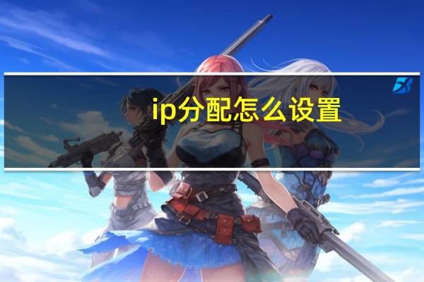 ip分配怎么设置