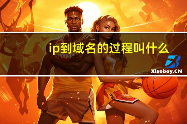 ip到域名的过程叫什么