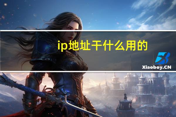 ip地址干什么用的