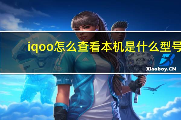 iqoo怎么查看本机是什么型号