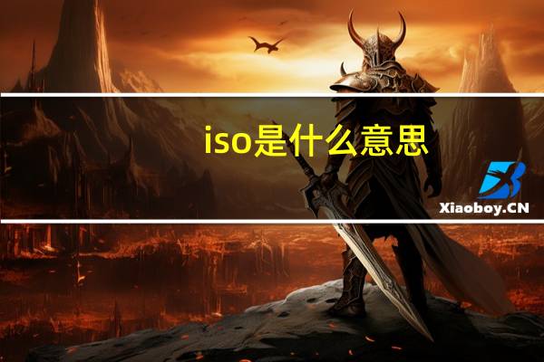 iso是什么意思