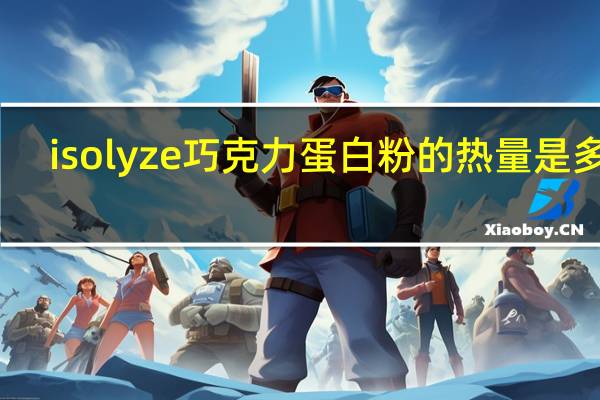 isolyze 巧克力蛋白粉的热量是多少
