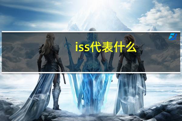 iss代表什么