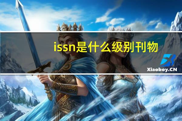 issn是什么级别刊物