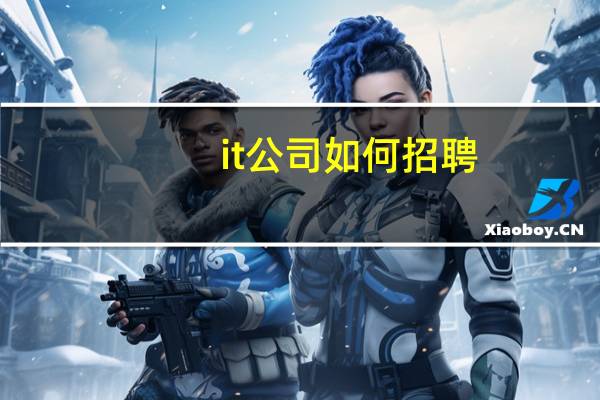 it公司如何招聘