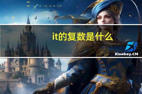 it的复数是什么