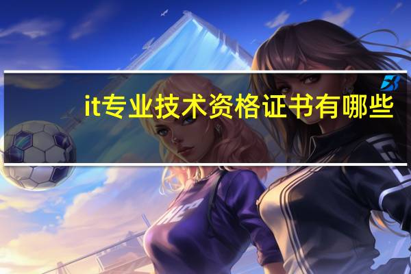 it专业技术资格证书有哪些