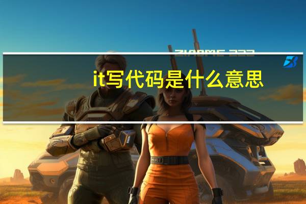 it写代码是什么意思