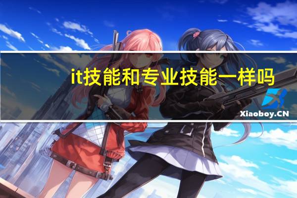 it技能和专业技能一样吗