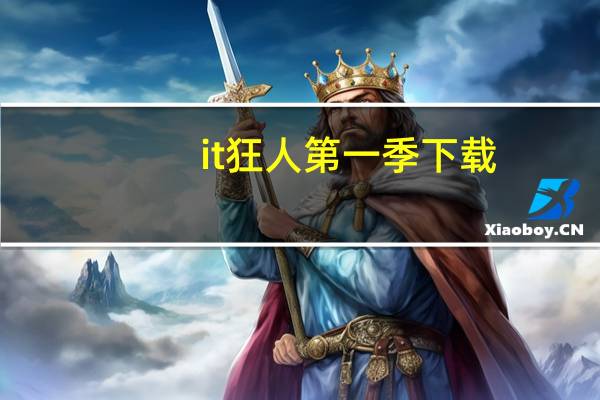 it狂人第一季下载（关于it狂人第一季下载的介绍）