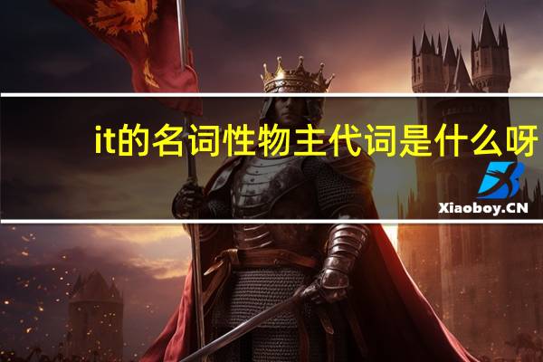 it的名词性物主代词是什么呀