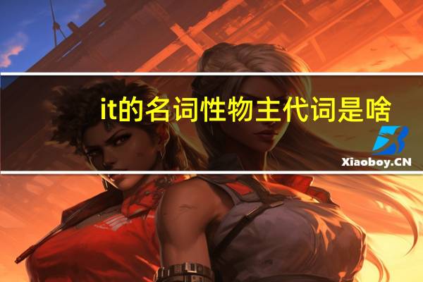 it的名词性物主代词是啥
