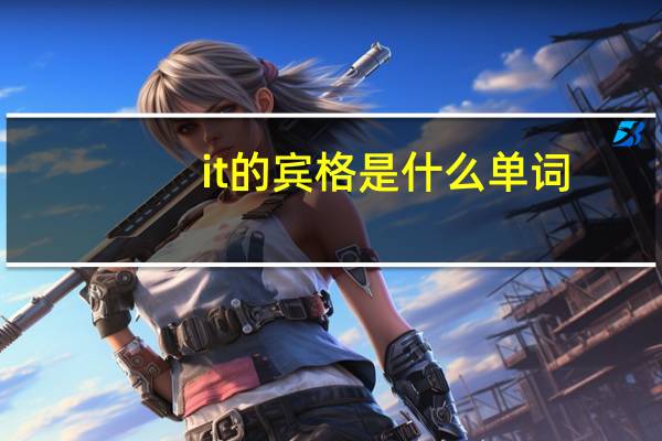 it的宾格是什么单词