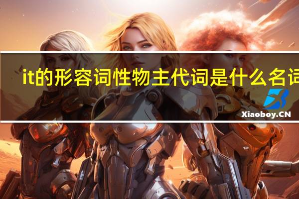 it的形容词性物主代词是什么名词性