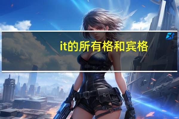 it 的所有格和宾格