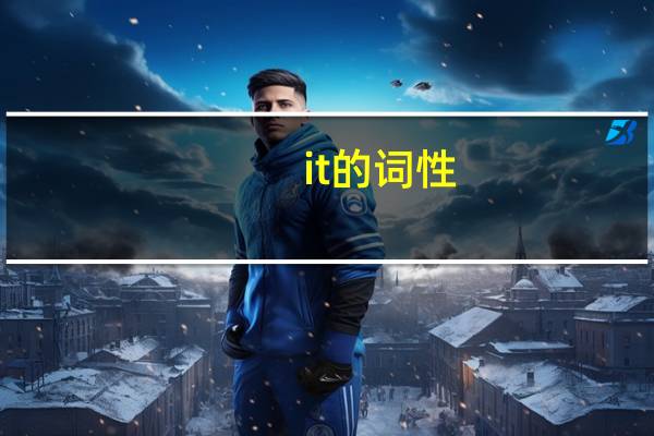 it的词性