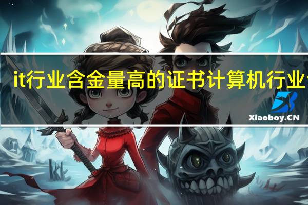 it行业含金量高的证书 计算机行业证书