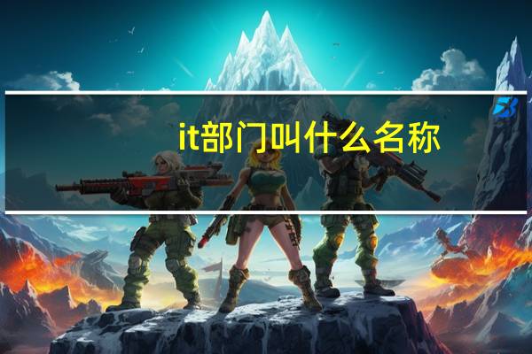 it部门叫什么名称
