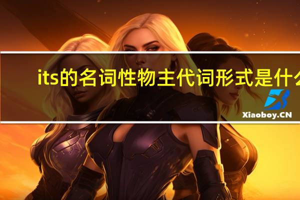 its的名词性物主代词形式是什么