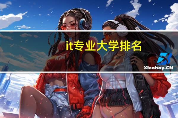 it专业大学排名