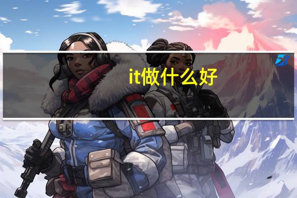 it做什么好