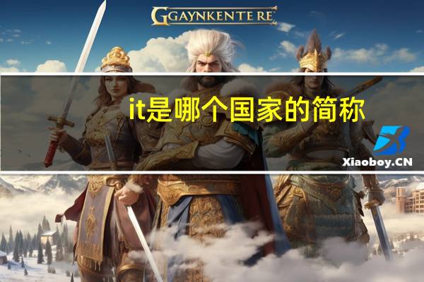it是哪个国家的简称