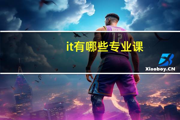 it有哪些专业课