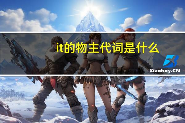 it的物主代词是什么