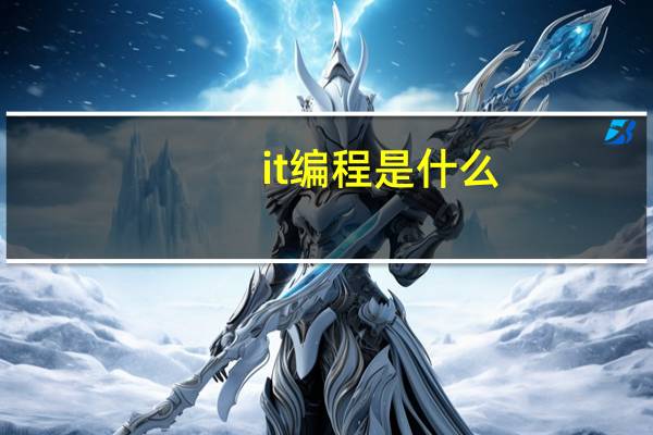 it编程是什么