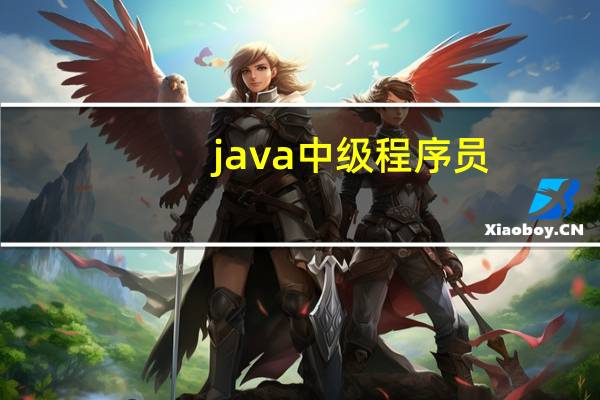 java中级程序员