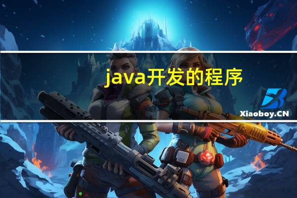 java开发的程序