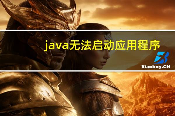 java无法启动应用程序