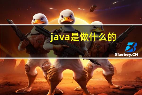 java是做什么的