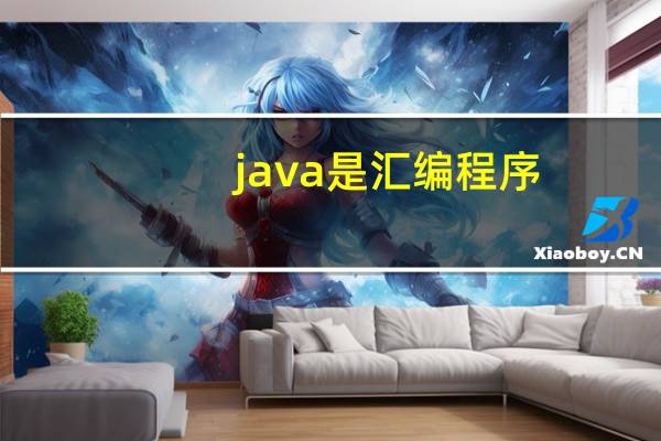 java是汇编程序