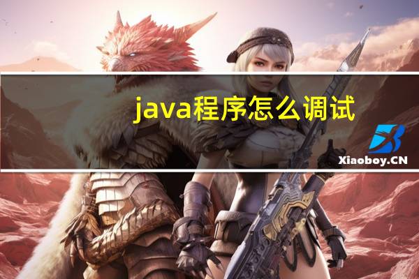 java程序怎么调试
