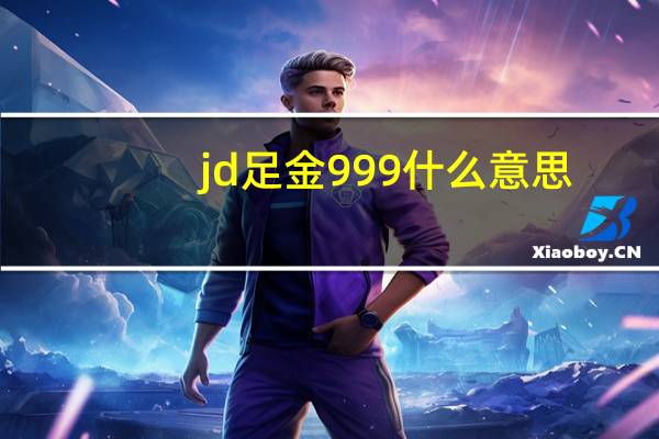 jd足金999什么意思