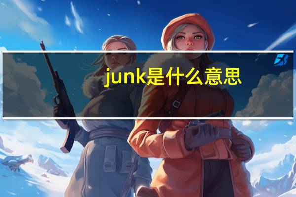 junk是什么意思