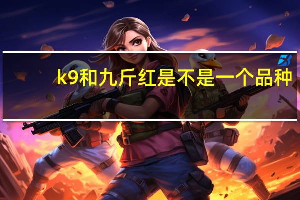 k9和九斤红是不是一个品种